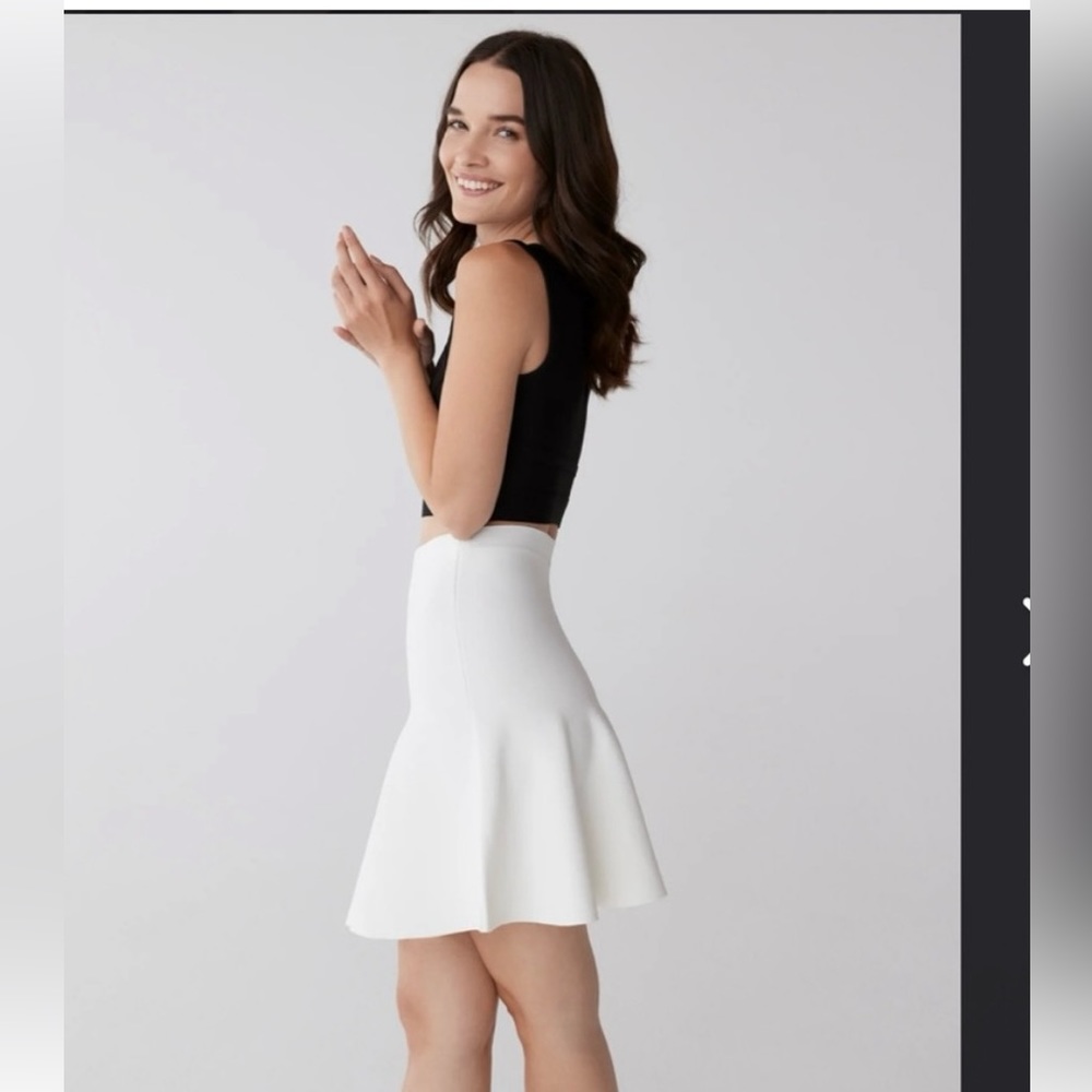 BCBG Maxazria Skirt